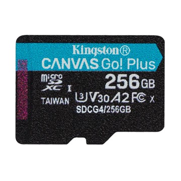 KINGSTON SDCG4 記憶卡-256GB