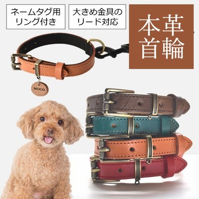 スペイン製 高級犬用首輪(S)とリードPeruvian Pikes 小型犬中型犬