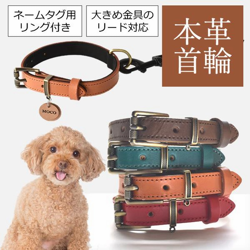 首輪 おしゃれ 犬 革 本革首輪 ドッグカラー レザー 小型犬 中型犬 本革 イタリアンレザー | LINEショッピング