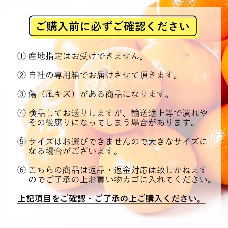 送料無料 安心の自社検品 サイズお任せ 約7kg前後 温州みかんキズあり 和歌山みかん 唐津みかん 福岡みかん 熊本みかん 厳選 みかん 国産 国産みかん