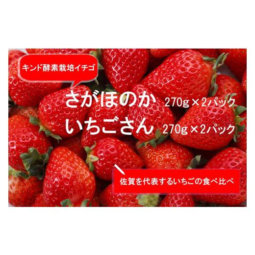 ふるさと納税 佐賀県 みやき町 AE014 あま〜い！！キンド酵素栽培いちご 数量限定！！