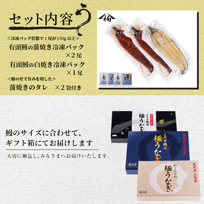 楠田の極うなぎ 蒲焼き2尾・白焼き1尾170g以上×3尾(510g以上) b2-011