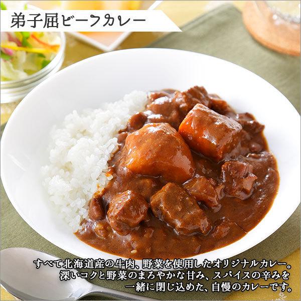 御歳暮 北海道 スープカレー レトルトカレー 10食セット ご当地カレー 食べ物 お取り寄せ グルメ ギフト 業務用