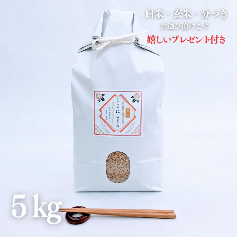 新米 お米 5kg 高知県産 天空の郷 にこまる 玄米 5kg×1袋 令和5年産 精米無料 白米 5分付き 7分付き 紙袋 高級 熨斗 ギフト 嬉しいプレゼント付き 送料無料