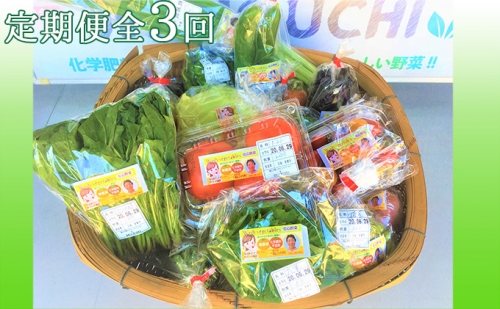 『定期便』季節野菜の詰め合わせ全3回