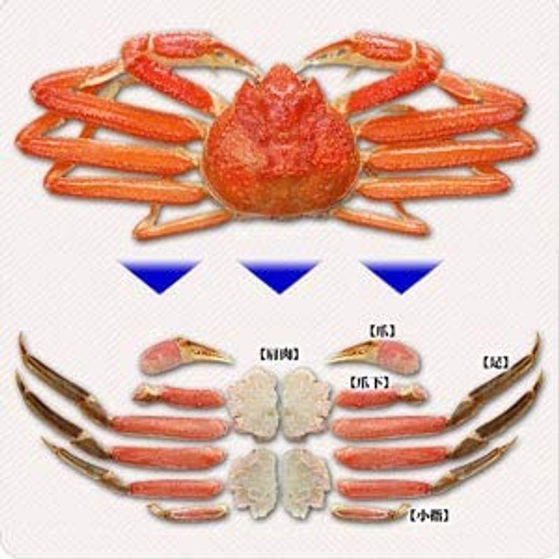 甲羅組 カット 生 ズワイガニ 1kg 特大＆極太サイズ かに刺し カニ鍋 カニしゃぶ 焼き蟹 用 約4人前 ギフト