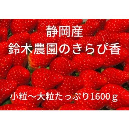 ふるさと納税 152-2　鈴木農園の朝摘みいちご（きらぴ香）1.6kg（800g×2） 静岡県牧之原市