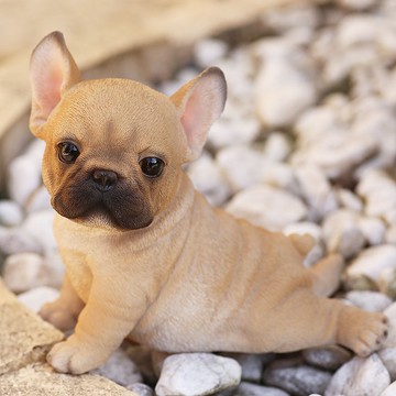 Devalier 狗雕像法國鬥牛犬樹脂禮物完美禮物 ca183 [正品]