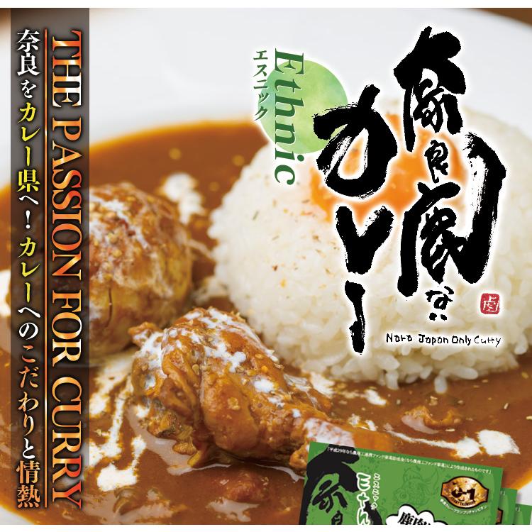 奈良鹿ないカレー　エスニック　旨辛口　220g×３個セット