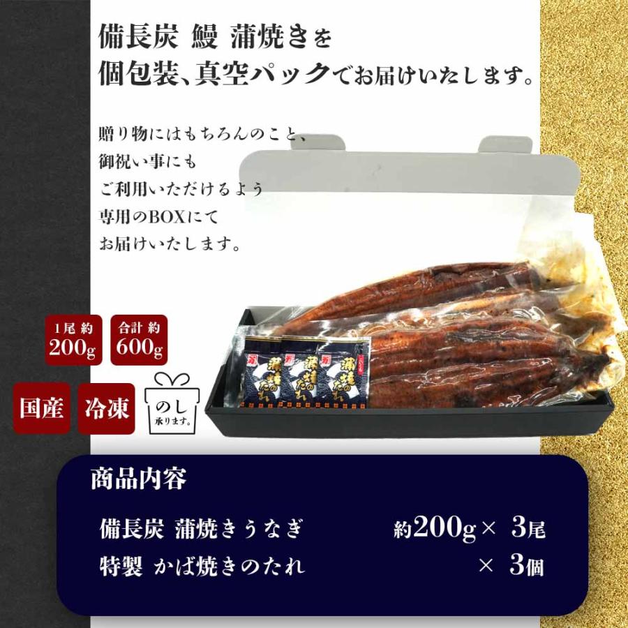 うなぎ 蒲焼き 国産 3尾 特大 200g タレ付 敬老の日 ギフト 土用丑の日 鰻 お取り寄せ