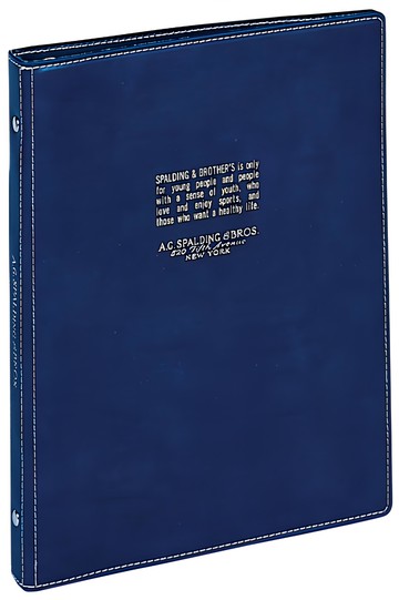 Raymay 藤井 PVC製資料夾 20孔 A5  藍  1本