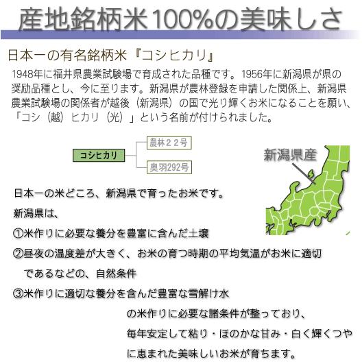 新米 令和5年産 新潟県産 コシヒカリ 10kg 5kg×2袋 米 精白米 白米 送料無料 お米マイスター厳選 HACCP認定工場