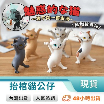 抬棺貓 妖嬈貓 抬手貓 貓咪公仔 小公仔 貓咪小物 療癒小物 辦公室小物 辦公室擺件 桌上小物 玩美 771019