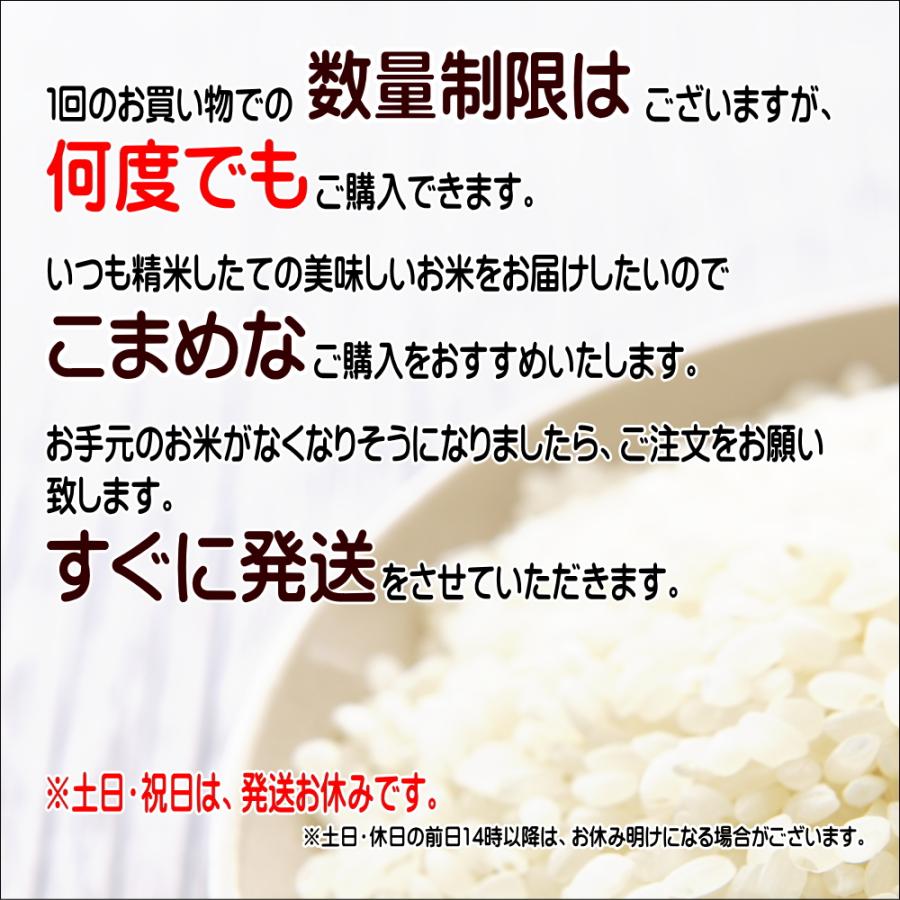 米 新米 令和5年 無洗米 米 お米 コメ キャンプ 3合 450g ひとめぼれ 岩手県奥州産 ご飯 送料無料