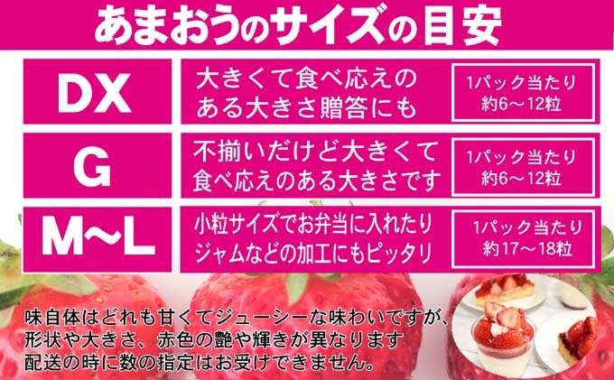 あまおう G以上 約1.04kg 約260g×4パック ※配送不可：北海道・東北・沖縄・離島