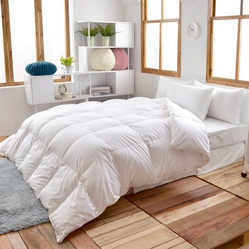 La Belle 德國 水鳥羽毛絨 保暖 防蹣抗菌 冬被 單人 暖冬被 格蕾寢飾