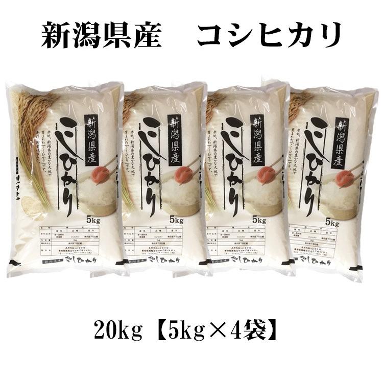 新米 お米 20kg 送料無料 白米 コシヒカリ 5kg×4袋 新潟県産 令和5年産 お米 20キロ 食品 北海道・沖縄は追加送料