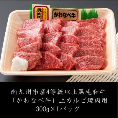 ふるさと納税 南九州市 かわなべ牛上カルビ焼肉300g