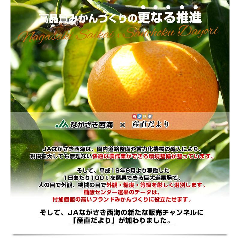 長崎県 JAながさき西海「味まる」2Sから3Sサイズ 超小粒4.5キロ×2箱（合計9キロ 150玉前後）送料無料　みかん ミカン 蜜柑 高糖度みかん