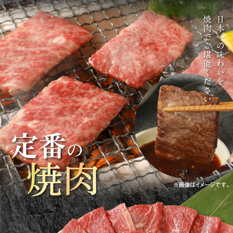 宮崎牛 ウデ モモ バラ 焼肉用 各400g 計1.2kg　N0147-ZB527