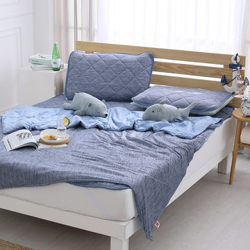 鴻宇 HongYew - SUPERCOOL接觸涼感/-5度C瞬涼可洗/抗菌保潔墊-雙人