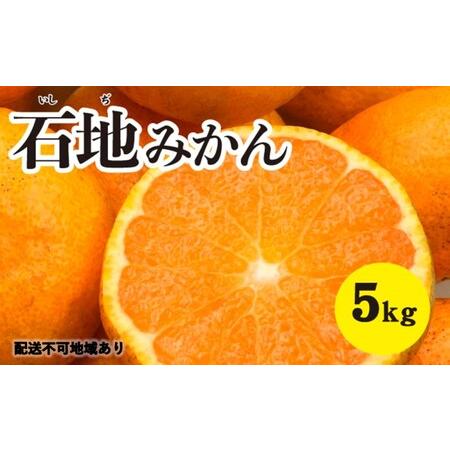 ふるさと納税 みかん 柑橘 糖度が高く濃厚！ 石地みかん ＜約5kg＞ 広島県三原市