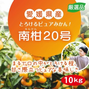 みかん 南柑20号 10kg 愛媛県産 数量限定 温州みかん 甘い 温州 みかん ミカン 温州ミカン オレンジ 柑橘 除草剤不使用 減農薬 ギフト 産