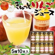 ぎゅっとりんごジュース　5種10本 飲み比べ 化粧箱入り 100%飛騨リンゴを使っておいしさを凝縮したジュース 農家直送 黒内果樹園 ギフト お中元 にも