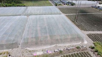 屏東長治/臨路方正農地/近長治交流道/義大健康園區｜屏東縣長治鄉華榮段