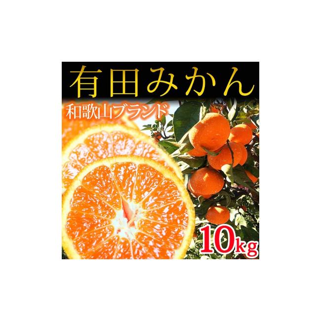 ふるさと納税 和歌山県 和歌山市 完熟有田みかん　10kg