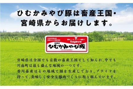 第56回天皇杯受賞企業「香川畜産」豚肉食べ比べセット2,200g