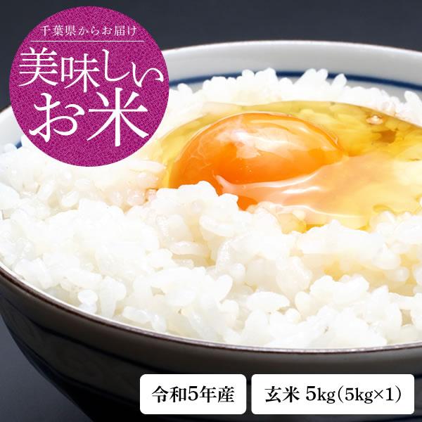 新米 米 お試し 玄米 5kg 令和5年 千葉県産 ふさこがね お米 精米 送料無料 ※地域によりまして別途送料が発生。