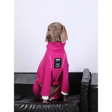 大型犬拉布拉多金毛杜賓冬裝寵物保暖加厚加絨衣服中小型犬四腳衣