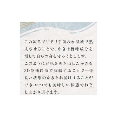 ふるさと納税 牡蠣 氷温熟成 冷凍牡蠣 生食用 220g×9袋 約2kg 宮城県産 小分け 冷凍かき 冷凍カキ 冷凍牡蠣 かきむき身 カキむき身 牡蠣む.. 宮城県石巻市