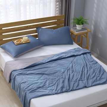 Ishur 伊舒爾 玩色雙面冰凍被 100%聚酯纖維  180 x 150cm  藍莓慕斯