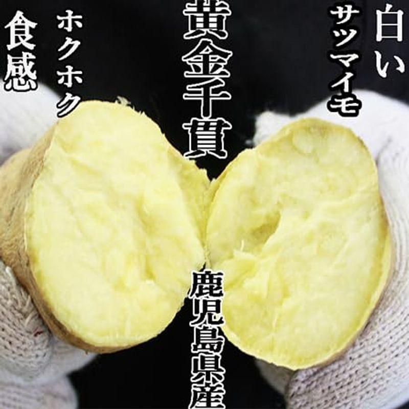 さつま芋 黄金千貫 3kg