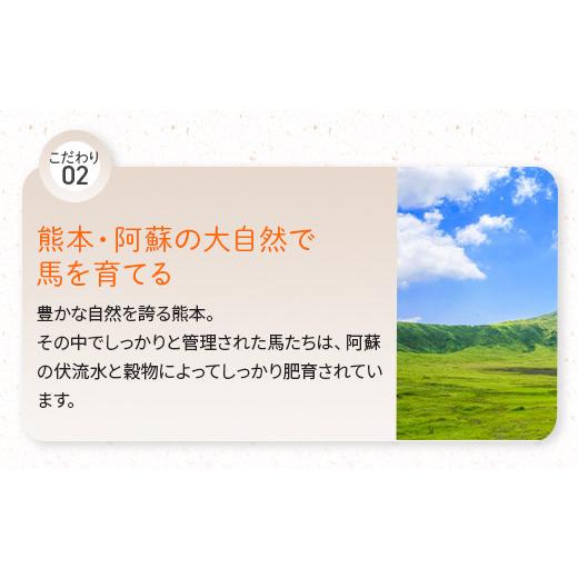 ふるさと納税 熊本県 多良木町 6種 馬肉 バラエティ 約540g タレ付き 食べ比べ 冷凍 馬刺し 熊本県 本場 【 馬肉の刺身 生食 刺身 お刺身 …