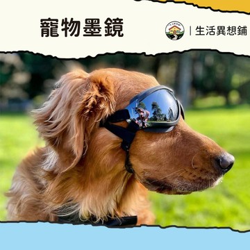 墨鏡 寵物 狗 狗狗護目鏡 寵物護目鏡 寵物眼鏡 狗狗護目鏡 防水防風防曬 防紫外線 保護狗狗眼睛 寵物用品 狗狗太陽鏡