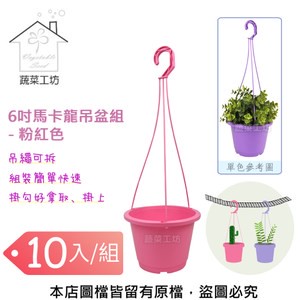 6吋馬卡龍吊盆組 - 粉紅色-10入/組