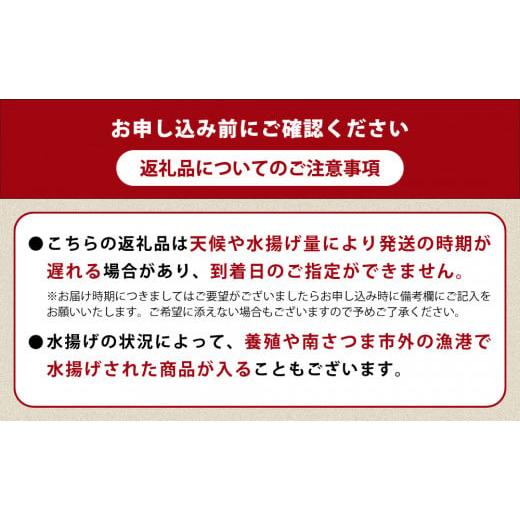 ふるさと納税 鹿児島県 南さつま市 ◆お申込みの翌月にお届け◆朝獲れ鮮魚のお刺身詰め合わせ（4種） 魚 冷蔵 刺身 鮮魚 ヤマチョウ 鹿児島県産 …