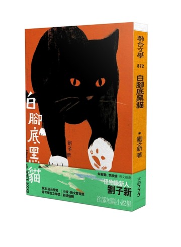 白腳底黑貓[二手書_近全新]