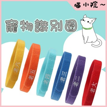 寵物識別圈 寵物識別項圈 奶貓識別圈 寵物項圈 魔鬼氈識別圈 奶犬項圈 名字項圈 寵物項圈