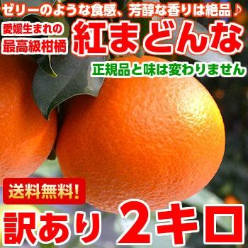 お歳暮 ギフト 愛媛県産 紅まどんな 訳あり2kg