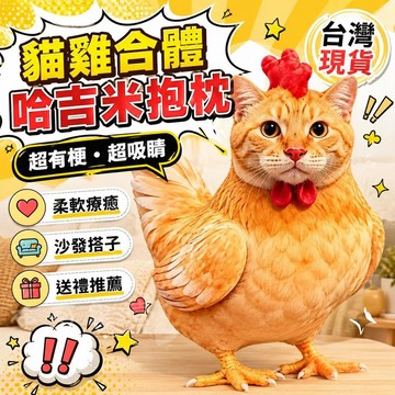 桃園出貨 仿真哈雞咪3D毛絨靠墊 可愛小雞玩偶抱枕 女生兒童陪睡搞怪生日禮物 療癒抱枕 女生禮物 房間擺設 交換禮物