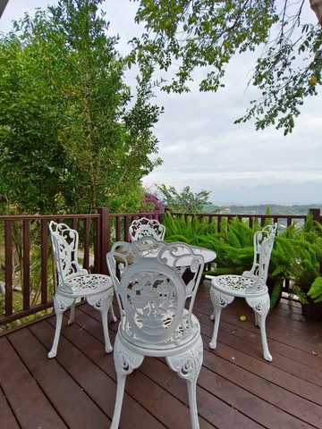 石觀景觀山莊+農地｜台中市石岡區仙塘坪段