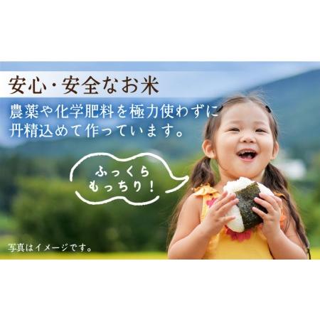 ふるさと納税 江北町産 1等米 夢しずく 玄米5kg特別栽培米 特別栽培農産物[HAJ017] 佐賀県江北町