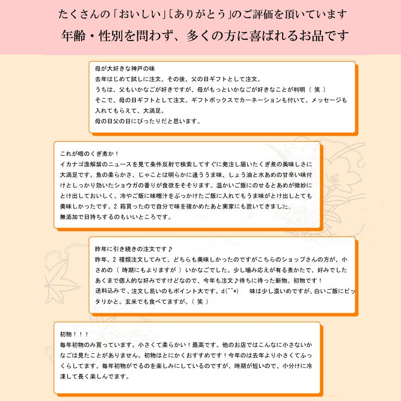 グルメいかなごのくぎ煮 200g 兵庫県産 淡路島 いかなご 送料無料 佃煮