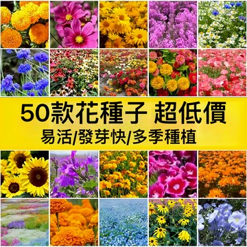 蝦皮熱銷台灣-24H發貨【50款花卉種子大全】 四季種植 多品種 四季可種 家庭陽台庭院盆栽花卉 室內外種植 新手易種植