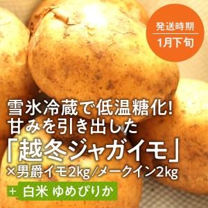 ふるさと納税 旬のお野菜「越冬ジャガイモセット」 北海道東川町