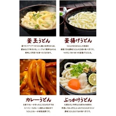 ふるさと納税 多度津町 味源 うどんバカ店長　本場讃岐の本生うどん食べ比べセット　純生タイプ